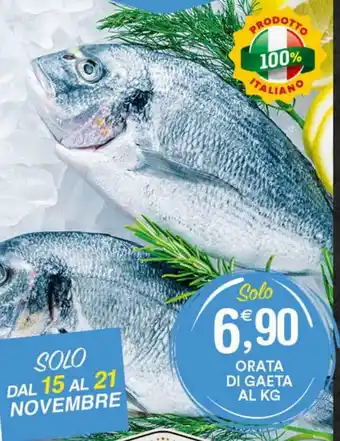 Gecop Orata di Gaeta al kg offerta