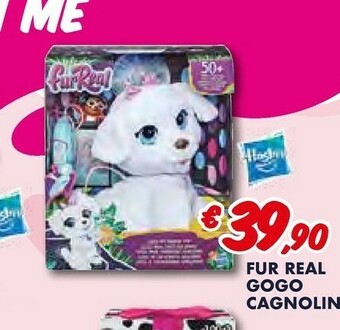 Europlanet Casa Peluche offerta