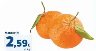Sigma Mandarini offerta