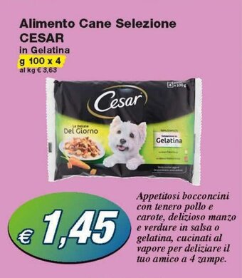 Cesar Alimento Cane Selezione 100g x 4