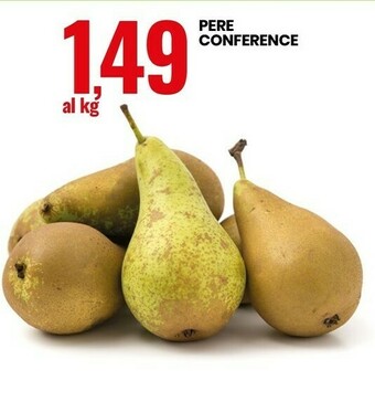 Pere conference