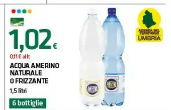 Superconti Acqua amerino naturale o frizzante offerta