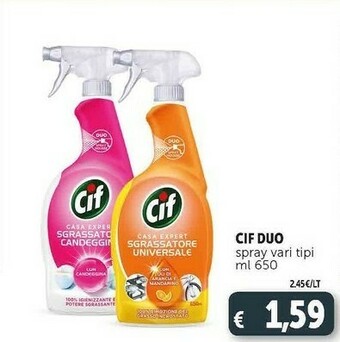Deco Supermercati Duo spray vari tipi ml 650 offerta