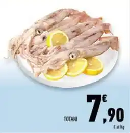 Conad Superstore Totani offerta