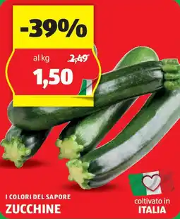 ALDI I colori del sapore zucchine offerta