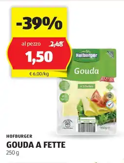 ALDI Hofburger gouda a fette offerta