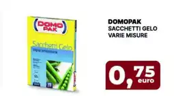 Paolina Shop Domopak sacchetti gelo offerta