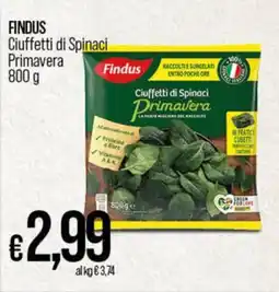 Ipercoop Radenza FINDUS Ciuffetti di Spinaci Primavera offerta