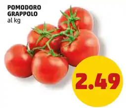 PENNY Pomodoro grappolo al kg offerta