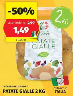 ALDI I colori del sapore patate gialle offerta