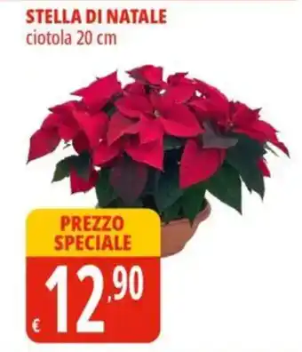 Tigros Stella di natale ciotola offerta