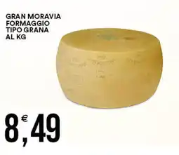 Vantaggio Cash&Carry Gran moravia formaggio tipo grana offerta