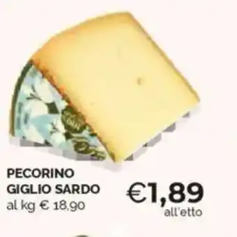 Mercatò Pecorino giglio sardo offerta