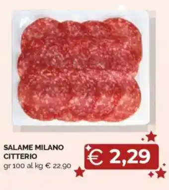 Mercatò Salame milano citterio offerta