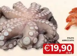 Mercatò Polpo arricciato offerta