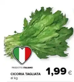 Tigre Cicoria tagliata offerta