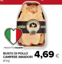 Tigre Busto di pollo campese AMADORI offerta