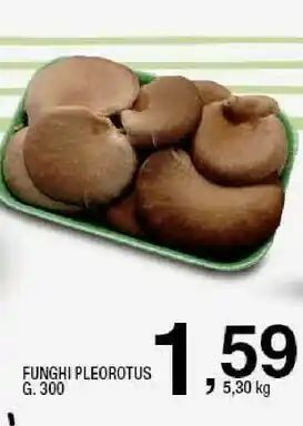 Sigma Funghi pleorotus offerta