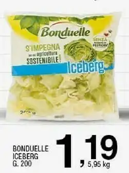 Sigma Iceberg 100 g(ml) offerta