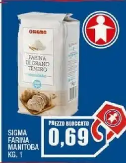 Ok Sigma Farina manitoba offerta