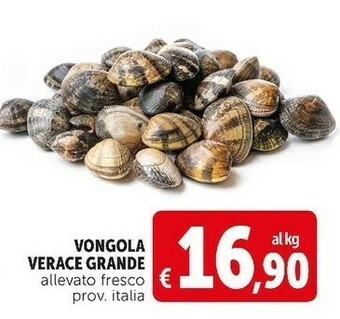 Deco Supermercati Vongola verace grande offerta