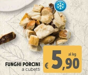 Deco Supermercati Funghi porcini offerta