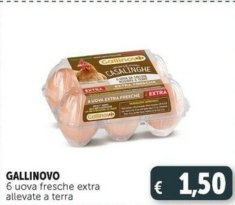 Deco Supermercati 6 uova fresche extra allevate a terra offerta