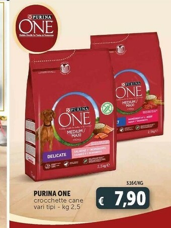 Deco Supermercati One crocchette cane offerta