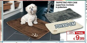 Accessori per cani
