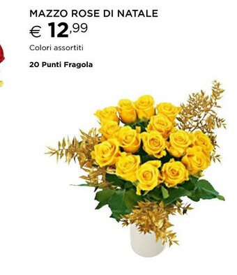 Esselunga Piante offerta