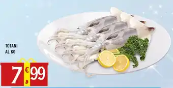 Gecop Totani offerta