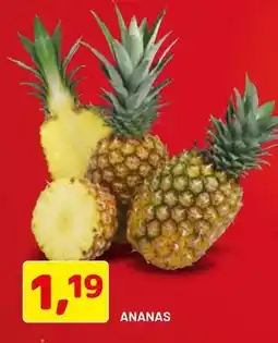 DPiù Ananas offerta