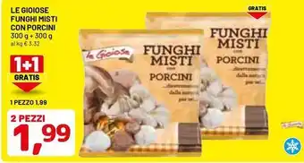 DPiù Le gioiose funghi misti con porcini offerta