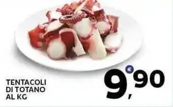 Extra Supermercati Tentacoli di totano offerta