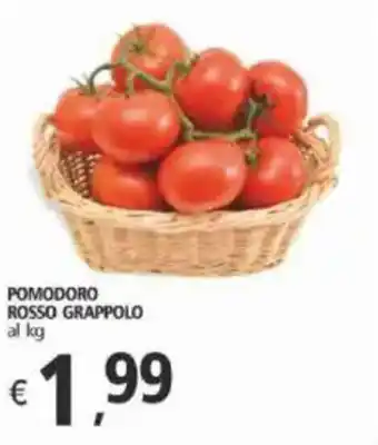 Alter Discount Pomodoro rosso grappolo offerta