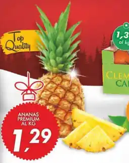 Coop Master Alleanza 3.0 Ananas premium al kg offerta