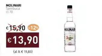 Prezzemolo e Vitale MOLINARI Sambuca offerta