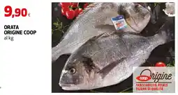 Ipercoop Orata ORIGINE COOP offerta