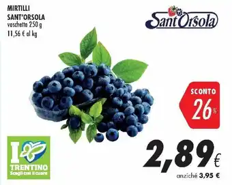 Coop Mirtilli Sant'Orsola 250g offerta