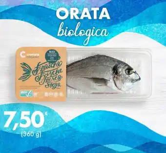 Iper Tosano ORATA biologica offerta