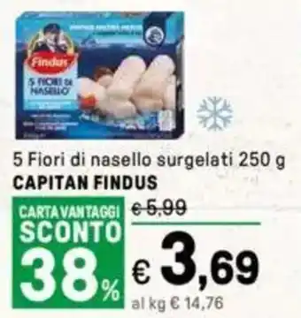 Iper La Grande 5 Fiori di nasello surgelati CAPITAN FINDUS offerta