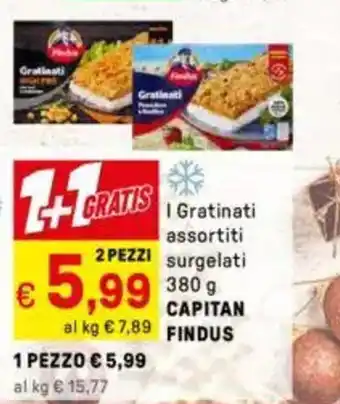 Iper La Grande I Gratinati assortiti CAPITAN FINDUS offerta