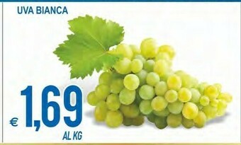 MD Discount Uva bianca offerta