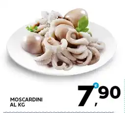 Extra Supermercati Moscardini offerta