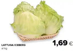 Tigre Lattuga iceberg offerta