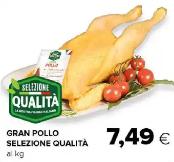 Tigre Gran pollo selezione qualità offerta