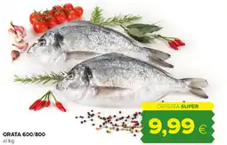 Tigre Orata 600/800 offerta