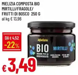 Galassia Mielizia composta bio mirtilli/fragole/ frutti di bosco offerta