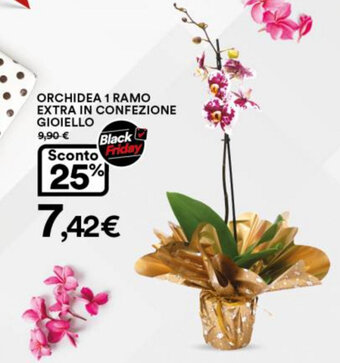 Ipercoop Orchidea 1 Ramo Extra in Confezione Gioiello offerta