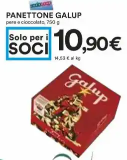 Panettone GALUP
